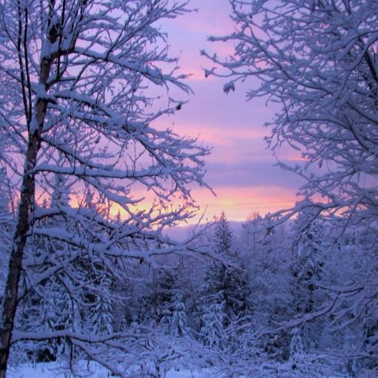 15825848_10154293978546647_7246103862341586453_n