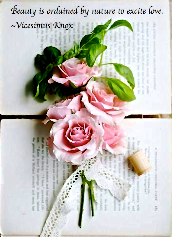 Screen Shot 2017-01-01 at 9.01.47 PM.png