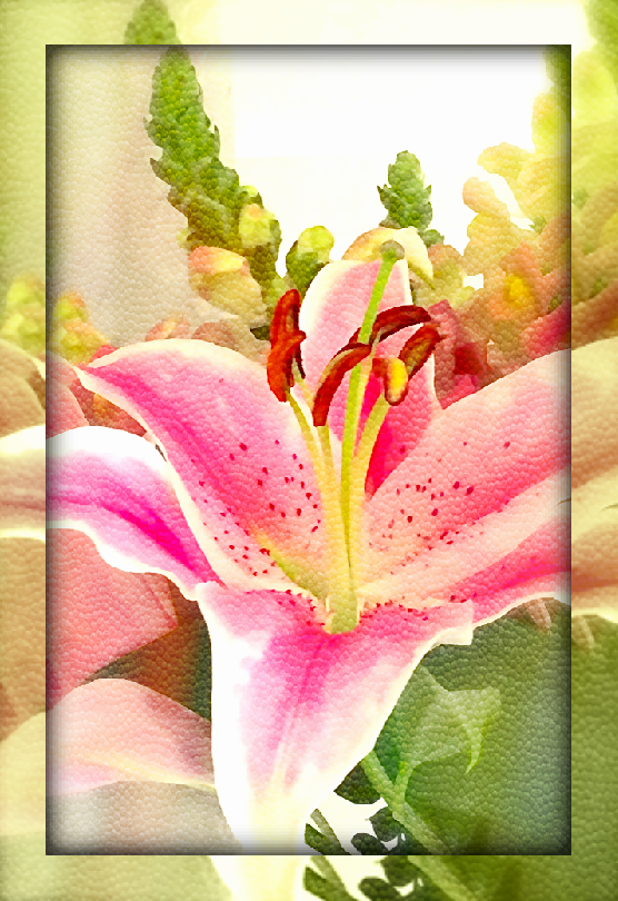 Screen Shot 2017-01-02 at 2.44.31 PM.png