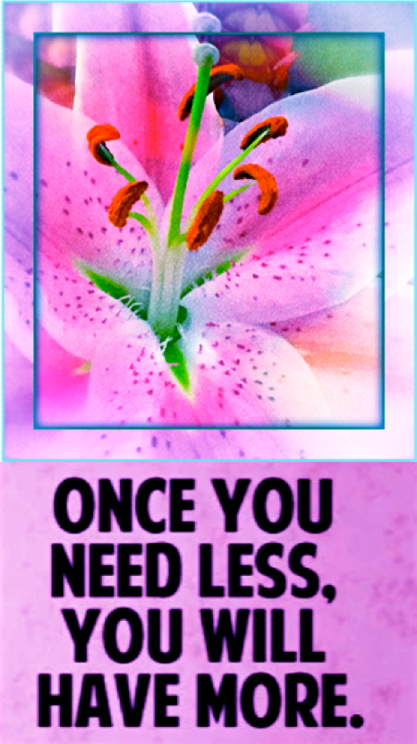 Screen Shot 2017-01-03 at 10.40.45 PM.png