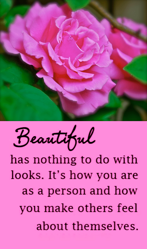 Screen Shot 2017-01-03 at 5.21.13 PM.png