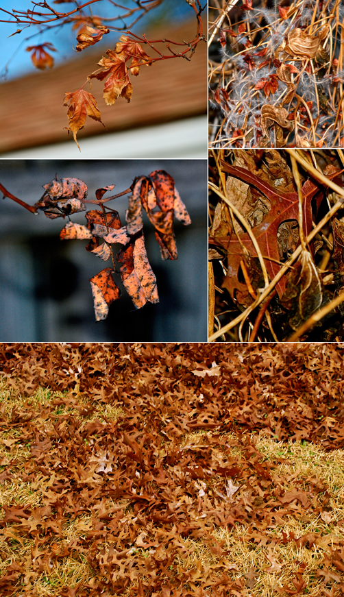 Screen Shot 2017-01-03 at 7.11.50 PM.png