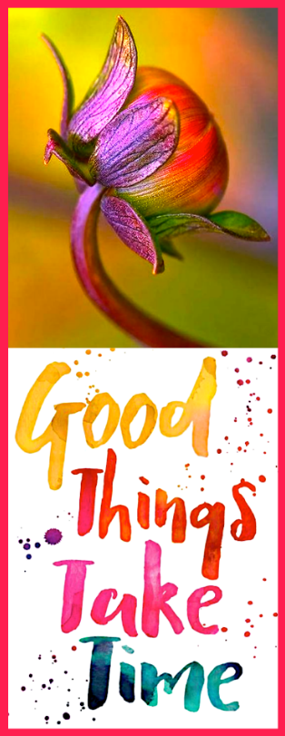 Screen Shot 2017-01-04 at 10.44.48 PM.png