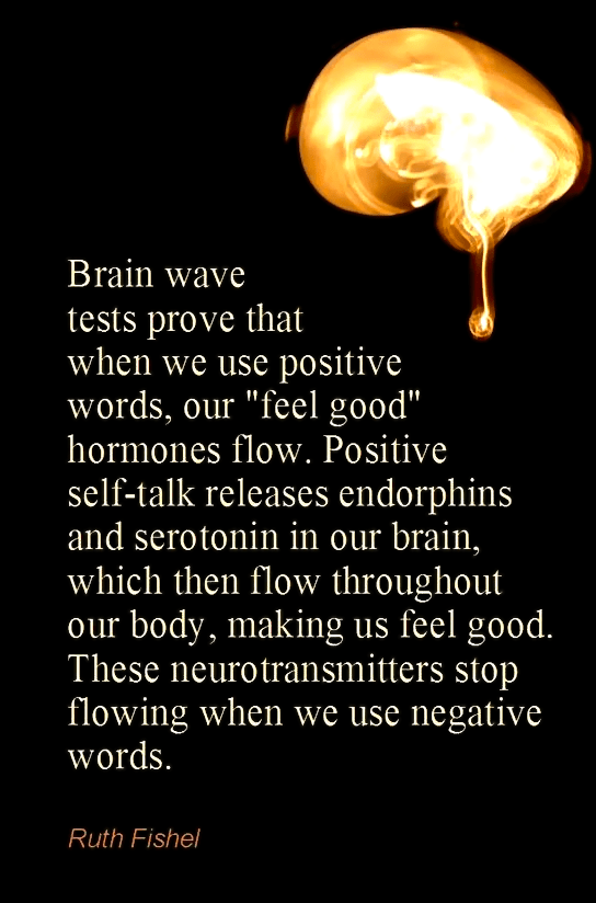 Screen Shot 2017-01-04 at 6.56.34 PM.png