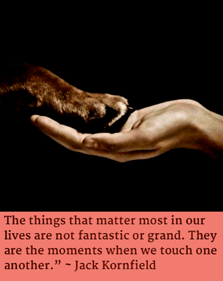 Screen Shot 2017-01-04 at 7.09.48 PM.png