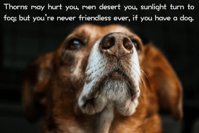 Screen Shot 2017-01-04 at 9.36.10 PM.png