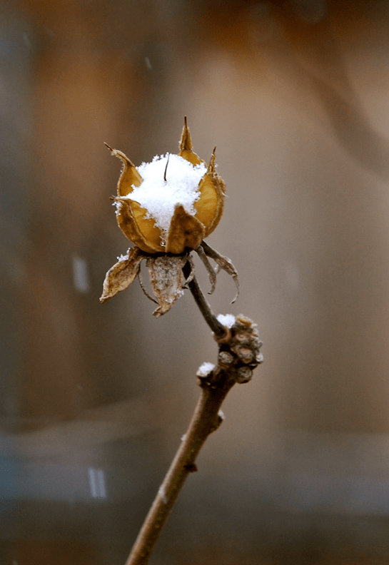 Screen Shot 2017-01-06 at 5.54.05 PM.png