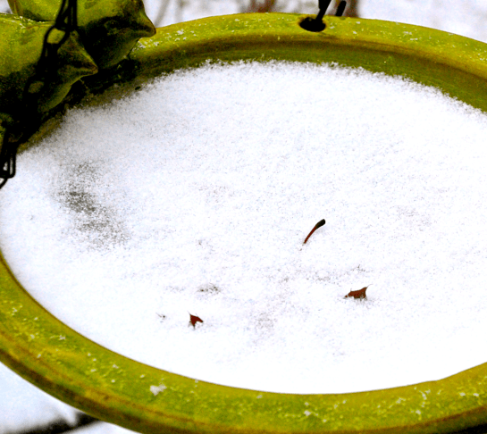 Screen Shot 2017-01-06 at 8.00.49 PM.png