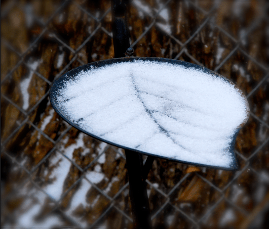 Screen Shot 2017-01-06 at 8.02.33 PM.png