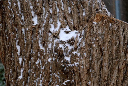 Screen Shot 2017-01-06 at 8.04.08 PM.png