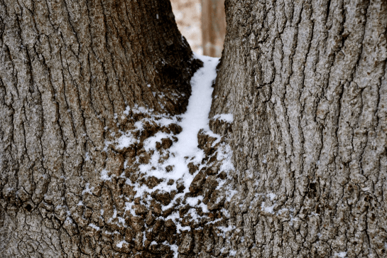 Screen Shot 2017-01-06 at 8.06.43 PM.png