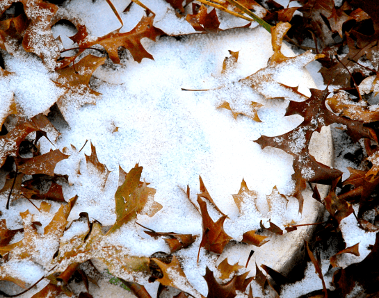 Screen Shot 2017-01-06 at 8.06.58 PM.png