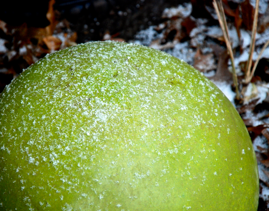 Screen Shot 2017-01-06 at 8.07.16 PM.png