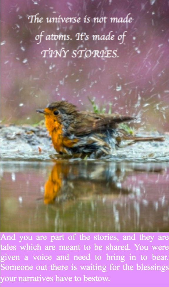 Screen Shot 2017-01-08 at 8.15.05 PM.png