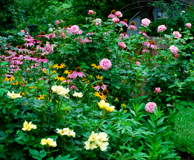 Screen Shot 2017-01-09 at 5.50.18 PM.png