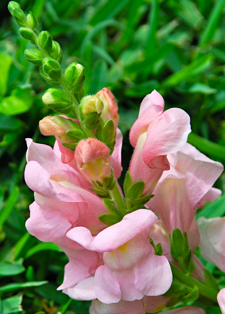 Screen Shot 2017-01-10 at 10.38.11 PM.png