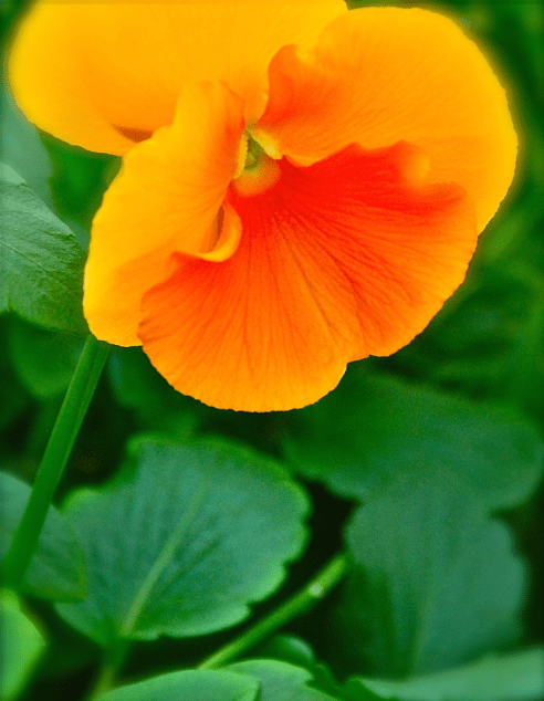 Screen Shot 2017-01-10 at 4.03.04 PM.png