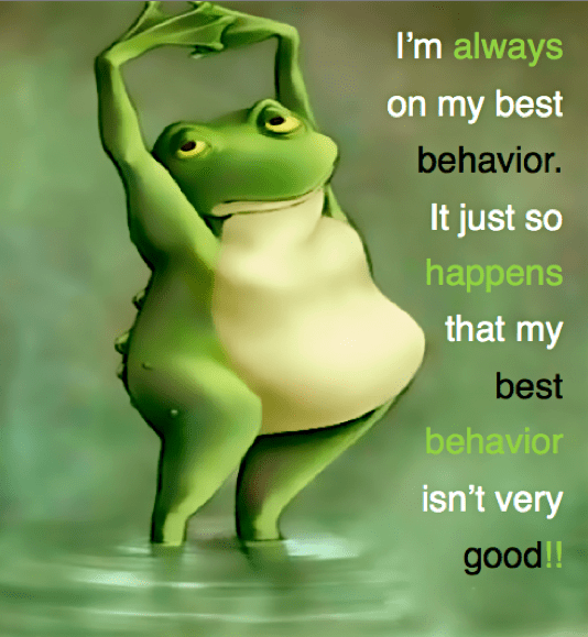 Screen Shot 2017-01-11 at 8.32.39 PM.png