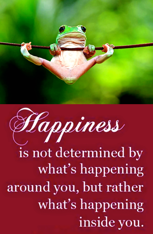 Screen Shot 2017-01-11 at 9.08.52 PM.png