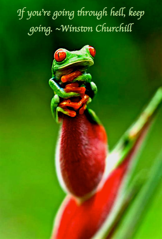 Screen Shot 2017-01-11 at 9.12.48 PM.png