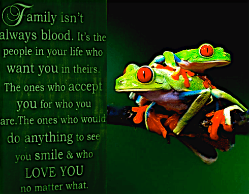 Screen Shot 2017-01-11 at 9.42.50 PM.png