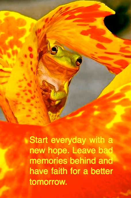 Screen Shot 2017-01-14 at 10.31.38 PM.png