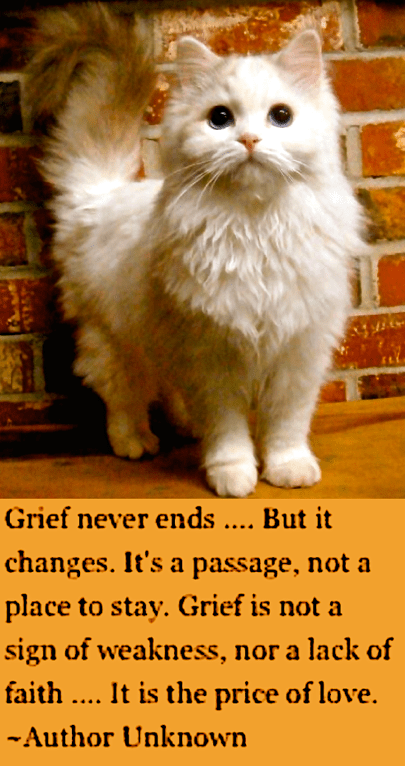 Screen Shot 2017-01-14 at 10.35.23 PM.png