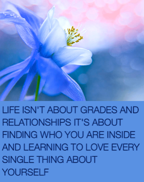 Screen Shot 2017-01-14 at 10.37.01 PM.png