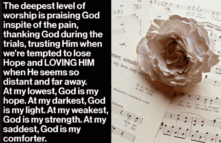 Screen Shot 2017-01-14 at 10.48.02 PM.png