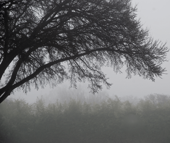 Screen Shot 2017-01-14 at 5.45.42 PM.png