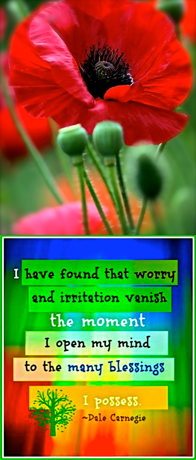 Screen Shot 2017-01-15 at 9.02.42 PM.png