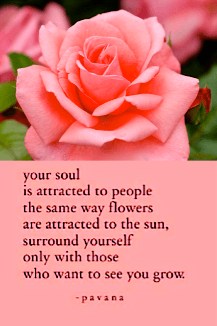 Screen Shot 2017-01-15 at 9.11.12 PM.png