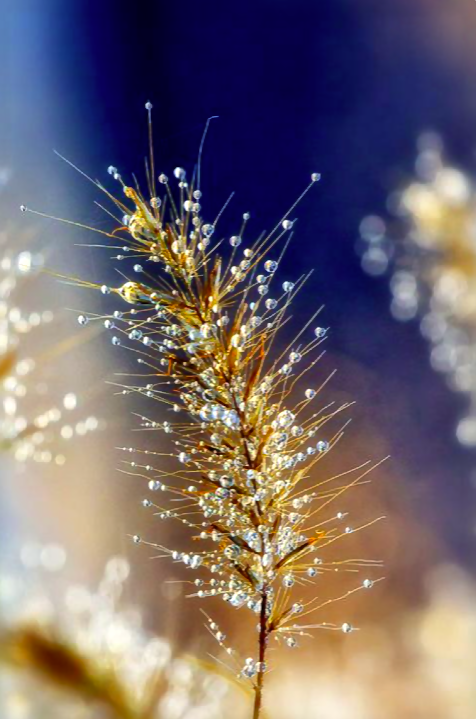 Screen Shot 2017-01-18 at 7.49.40 PM.png