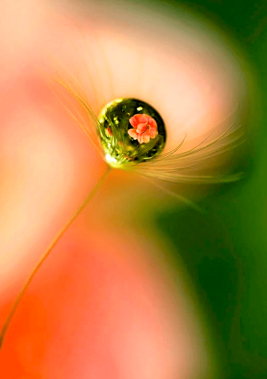 Screen Shot 2017-01-19 at 6.16.11 PM.png