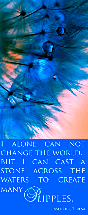 Screen Shot 2017-01-19 at 9.47.29 PM.png