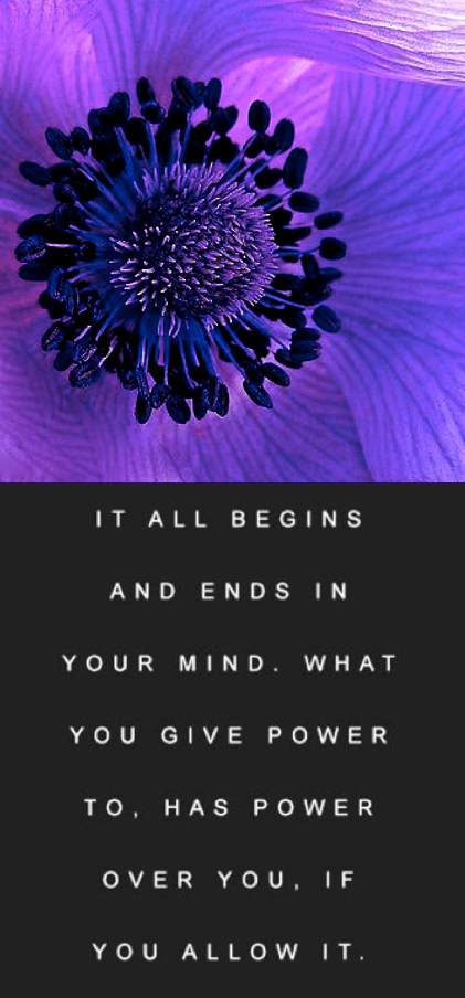 Screen Shot 2017-01-19 at 9.48.42 PM.png