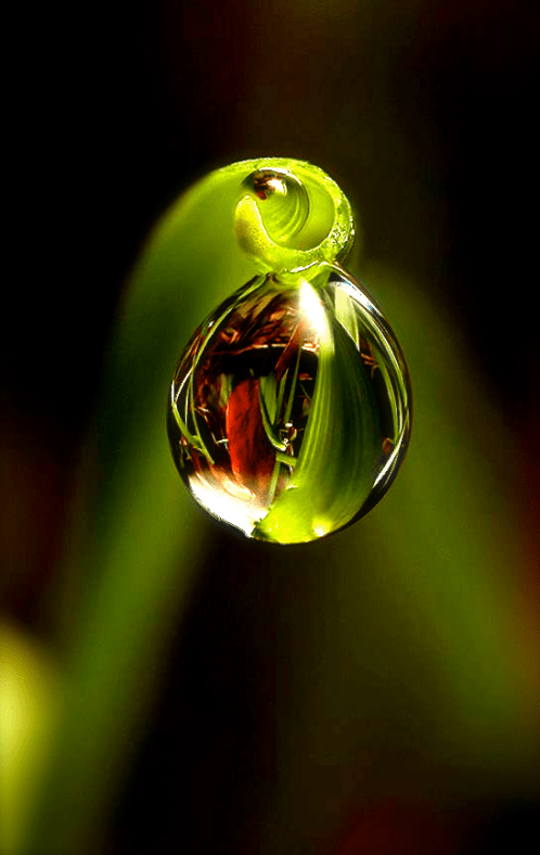 Screen Shot 2017-01-20 at 9.02.48 PM.png