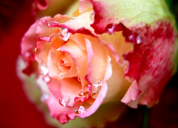 Screen Shot 2017-01-21 at 7.23.10 PM.png