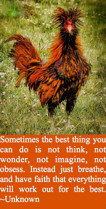 Screen Shot 2017-01-21 at 9.08.34 PM.png