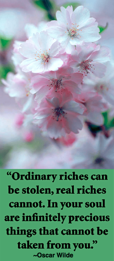 Screen Shot 2017-01-22 at 10.36.04 PM.png