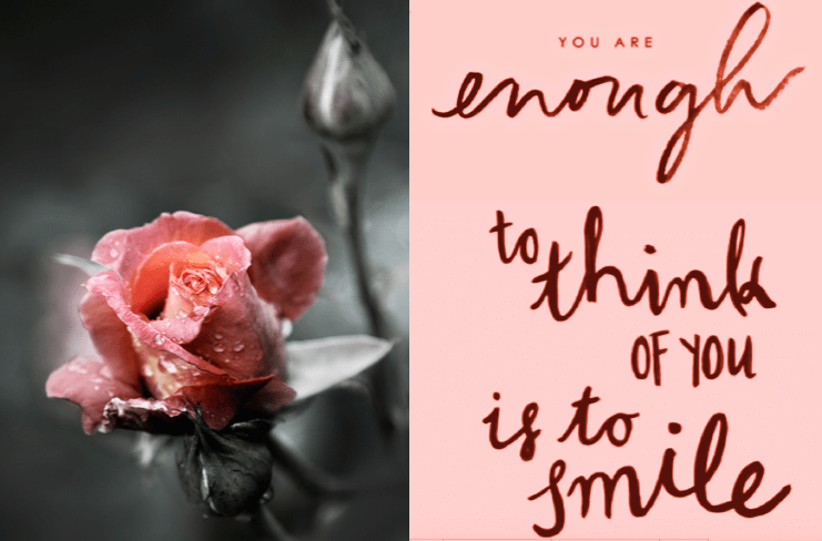 Screen Shot 2017-01-23 at 10.19.42 PM.png