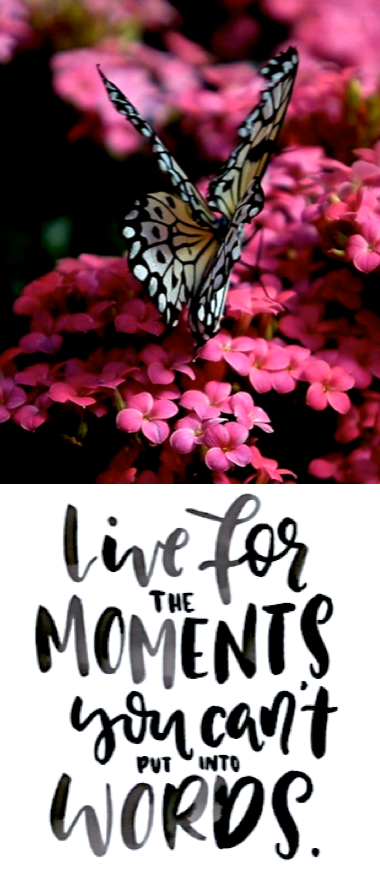 Screen Shot 2017-01-23 at 10.22.36 PM.png