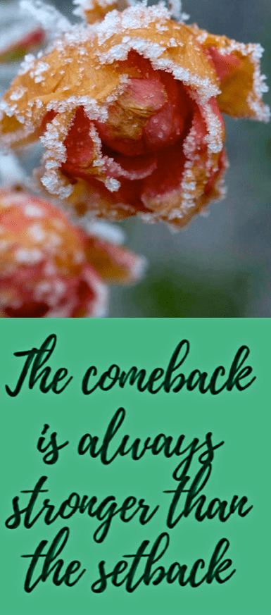 Screen Shot 2017-01-23 at 10.34.48 PM.png