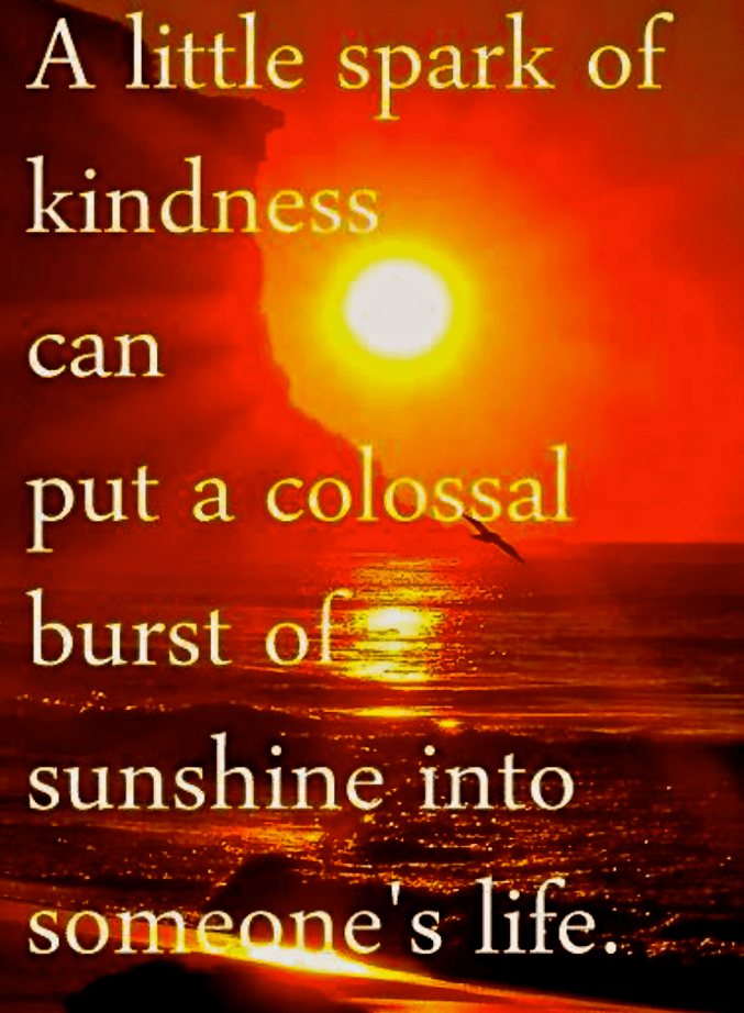 Screen Shot 2017-01-24 at 9.44.28 PM.png