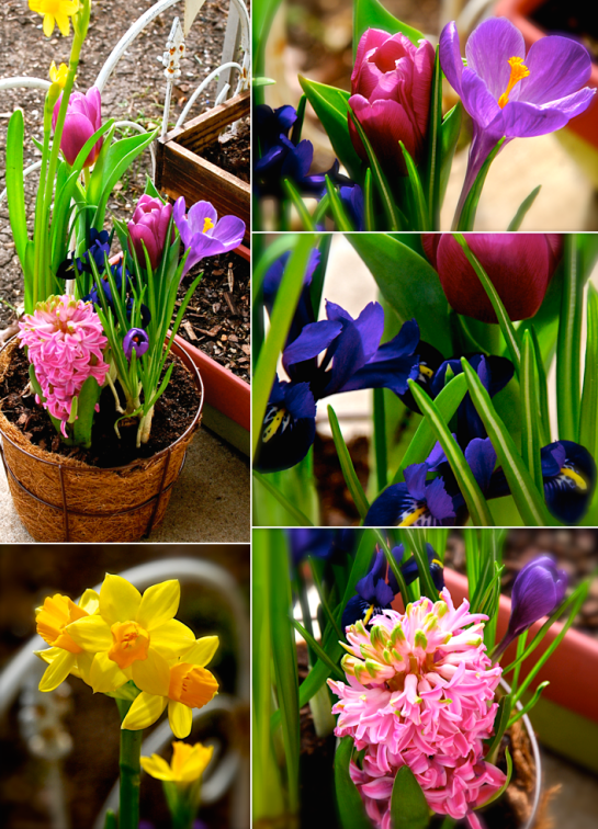 Screen Shot 2017-01-25 at 8.03.31 PM.png