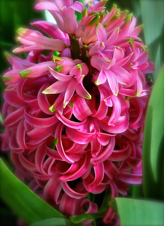 Screen Shot 2017-01-25 at 8.04.58 PM.png