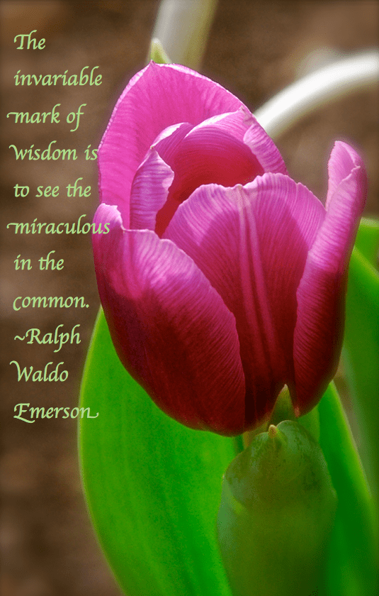 Screen Shot 2017-01-26 at 8.22.52 PM.png