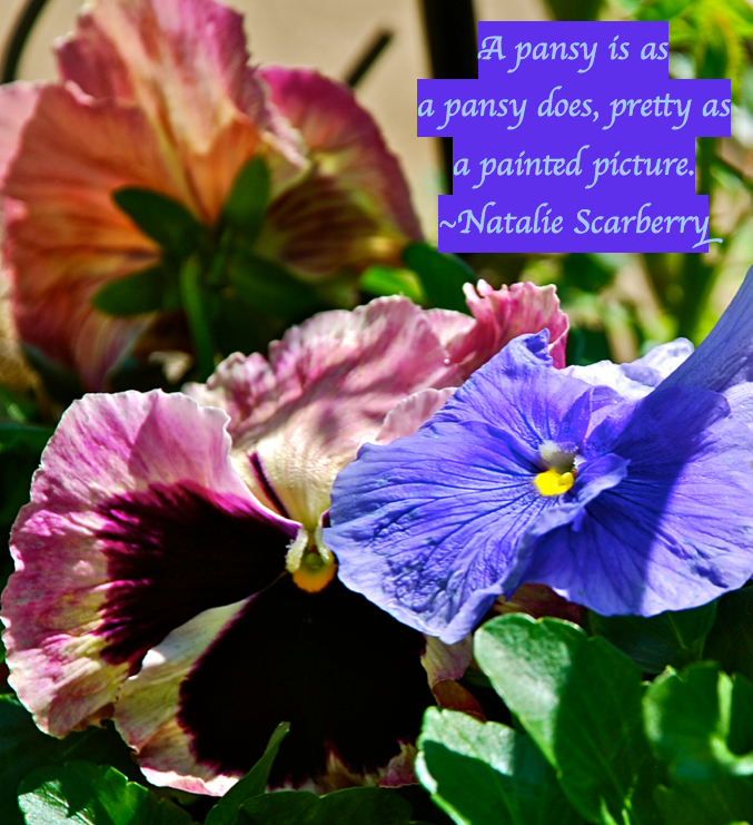 Screen Shot 2017-01-26 at 8.45.24 PM.png