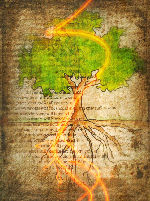 Screen Shot 2017-01-28 at 8.00.52 PM.png