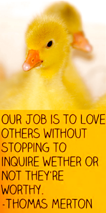 Screen Shot 2017-01-28 at 9.19.28 PM.png